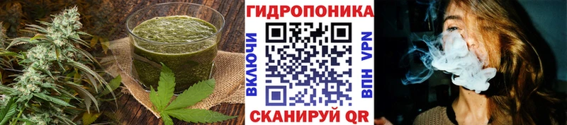 Cannafood конопля  Лодейное Поле 