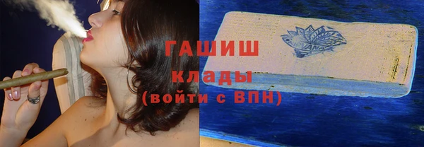 стаф Верея
