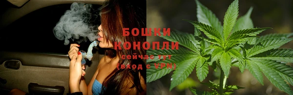 стаф Верея