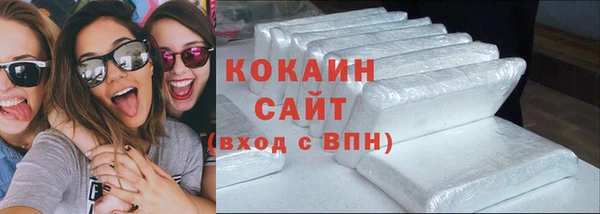 стаф Верея