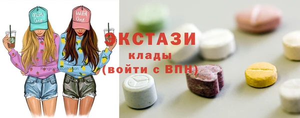 стаф Верея