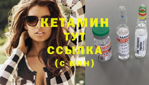 стаф Верея