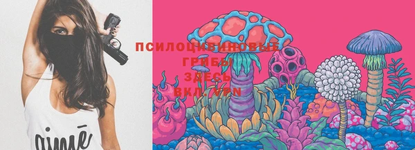 прущая мука Верхний Тагил