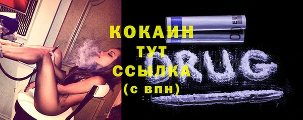 стаф Верея