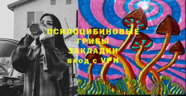 стаф Верея