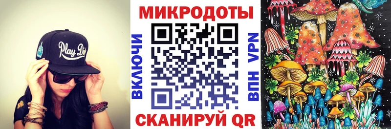 Галлюциногенные грибы Psilocybe Лодейное Поле