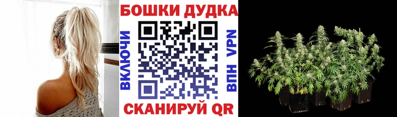 Каннабис гибрид  Лодейное Поле 